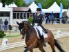 dressage horse Cayuno (Mecklenburg, 2010, from Casino Royal)