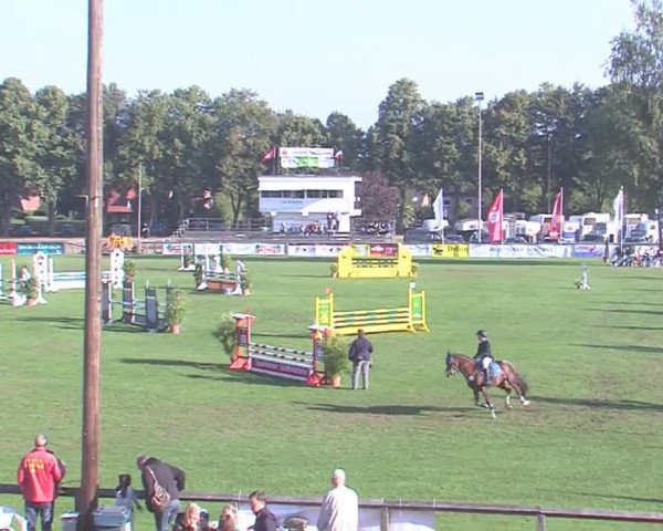 Landesponyturnier Bad Segeberg 2016