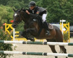 jumper Cavallina 6 (Zweibrücken, 1999, from Champ of Class)