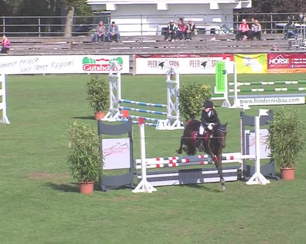 Landesponyturnier Bad Segeberg 2016