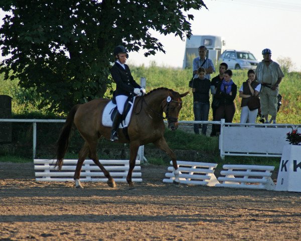 Dressurpferd Fine Girl Fengari (Hessisches Warmblut, 2002, von Floretto N)