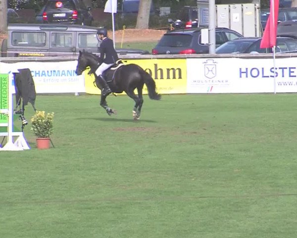 Landesponyturnier Bad Segeberg 2016