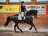 dressage horse Rubin XX CH (Swiss Warmblood, 2002, from Rubicell)