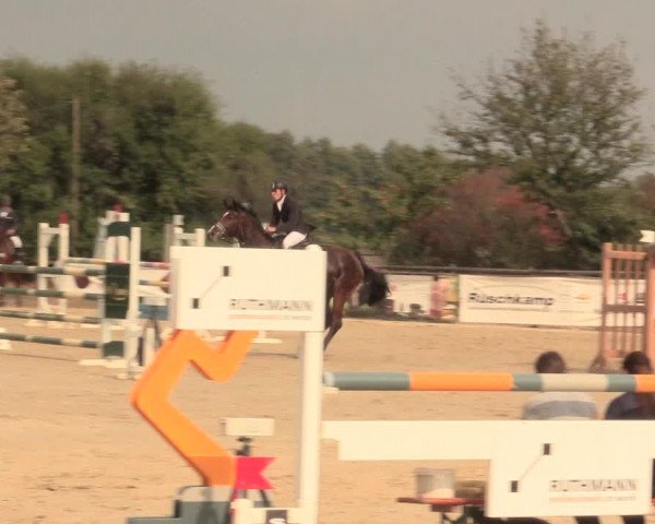 Reitturnier Lüdinghausen-Westrup 2016