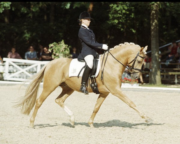 stallion Arts Deilahro (German Riding Pony, 1996, from Arts-Dancer-Boy)