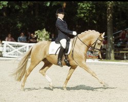 stallion Arts Deilahro (German Riding Pony, 1996, from Arts-Dancer-Boy)