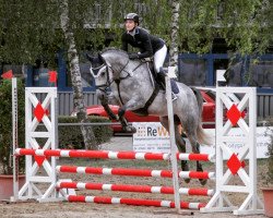 jumper Casablanca 131 (Hanoverian, 2014, from Cassus 2)