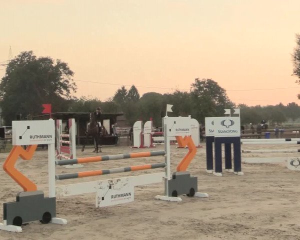 Reitturnier Lüdinghausen-Westrup 2016