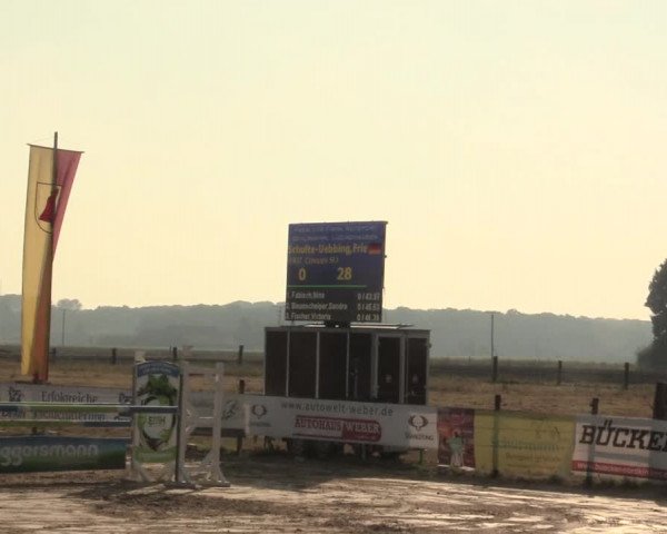 Reitturnier Lüdinghausen-Westrup 2016