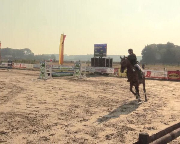 Reitturnier Lüdinghausen-Westrup 2016