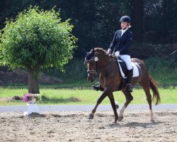 dressage horse Heartbreaker 64 (Welsh-Pony (Section B), 2006, from Halifax)