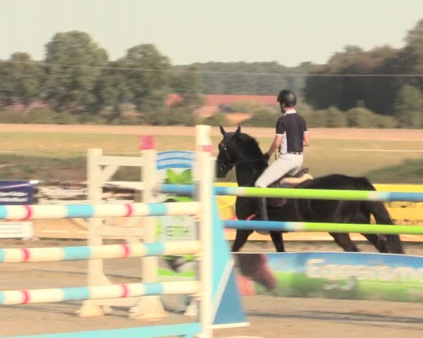 Reitturnier Lüdinghausen-Westrup 2016