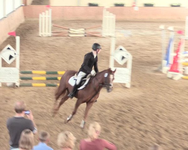 Reitturnier Lüdinghausen-Westrup 2016