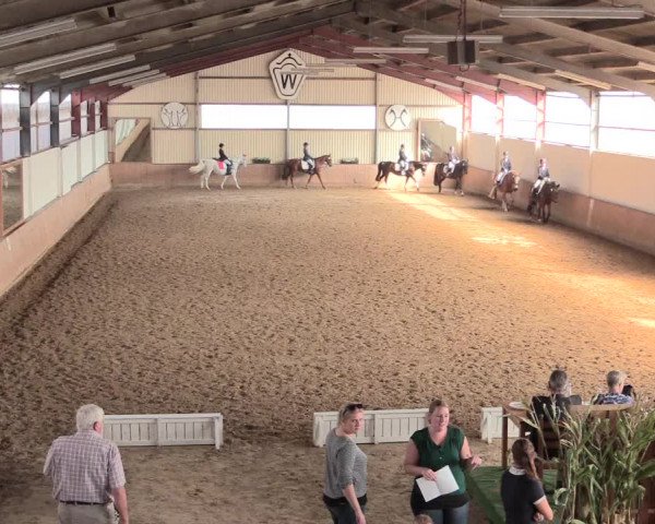 Reitturnier Lüdinghausen-Westrup 2016