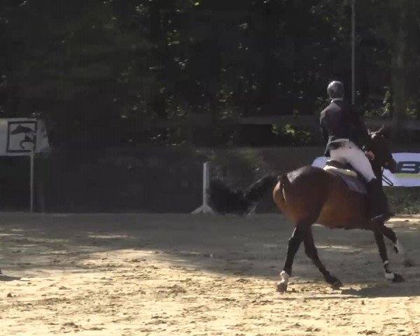 Nordbadische Meisterschaften Springen 2016