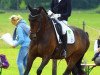 dressage horse Dark Paradise (Westphalian, 2009, from Diamond Hit)