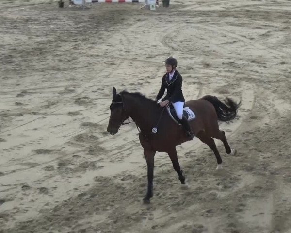 Reitturnier Köln-Leverkusen 2016