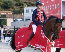 jumper Winnetou de La Hamente Z (Zangersheide riding horse, 2010, from Winningmood van de Arenberg)