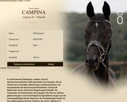 broodmare Campina (Oldenburg, 1998, from Campari M)