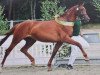 broodmare Fair Princess (Zweibrücken, 2011, from Florentianer)