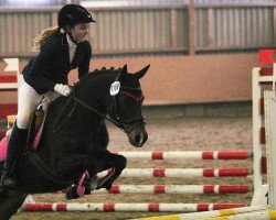 broodmare Sazu 6 (New Forest Pony, 2004, from Vivienne's Vision of Freedom)