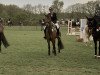 jumper Apart (New Forest Pony, 2011, from Kantje's Appart)