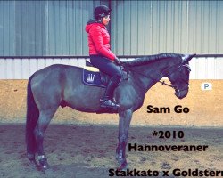 Springpferd Sam Go (Hannoveraner, 2010, von Stakkato)