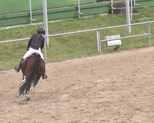Reitturnier Pforzheim 2016