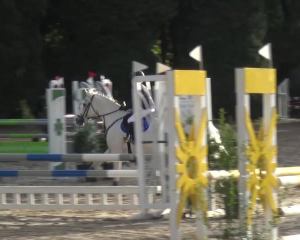 Reitturnier Leverkusen-Teitscheider Hof 2016