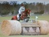 jumper Equilibrium (Hanoverian, 2005, from Embassy I)