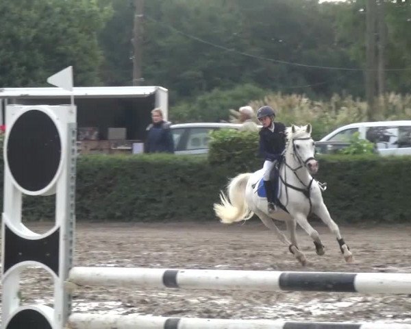 Reitturnier Leverkusen-Teitscheider Hof 2016