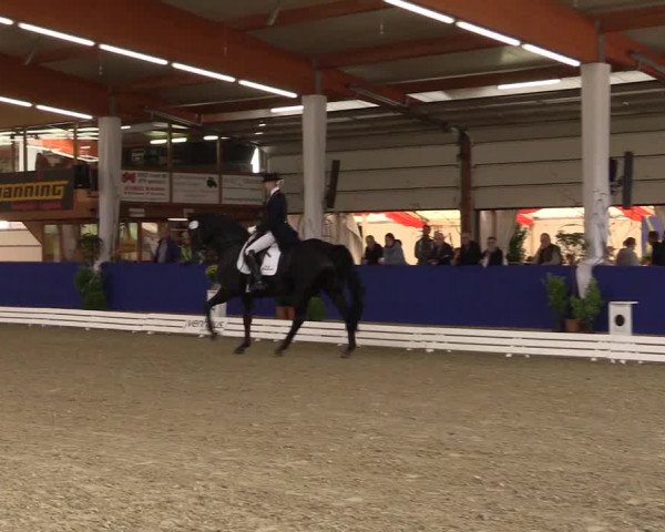 Dressurturnier Isterberg 2016