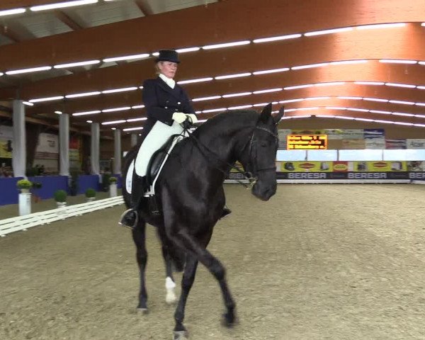 Dressurturnier Isterberg 2016