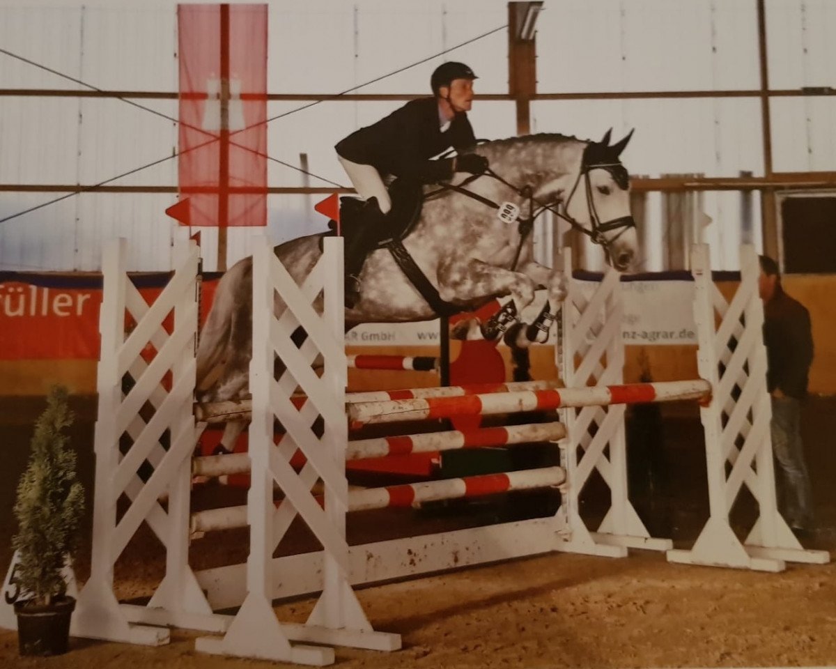Springpferd Caracciola 9 (Holsteiner, 2013, von Berlin)