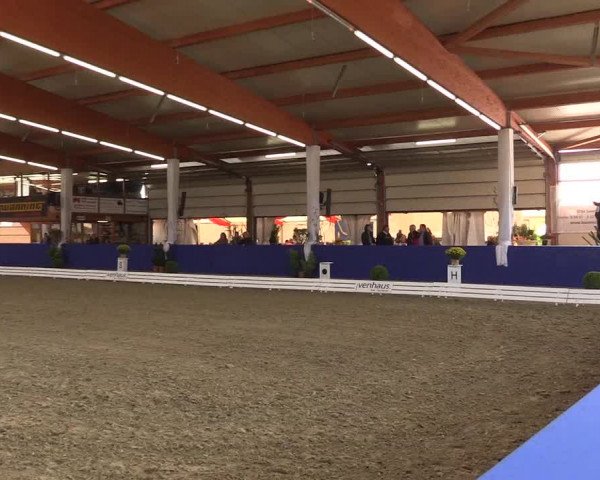 Dressurturnier Isterberg 2016