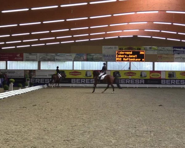 Dressurturnier Isterberg 2016