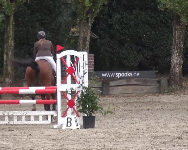 Reitturnier Leverkusen-Teitscheider Hof 2016
