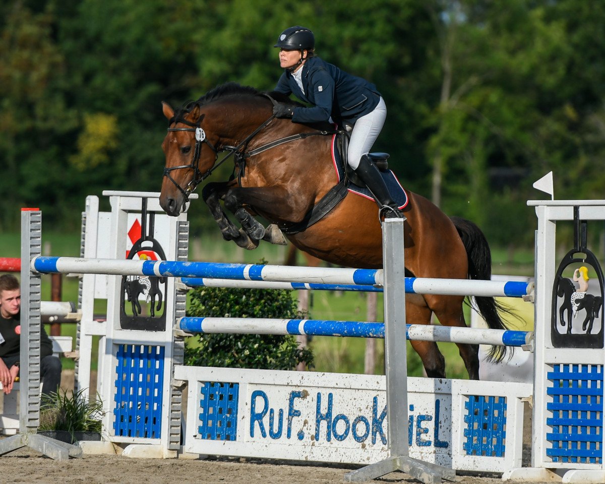 broodmare Cassia 19 (Holsteiner, 2009, from Casquetto)