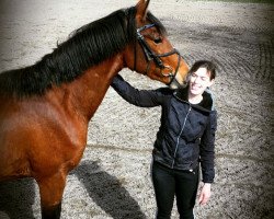 dressage horse Limarron (German Sport Horse, 2016, from Limasol)