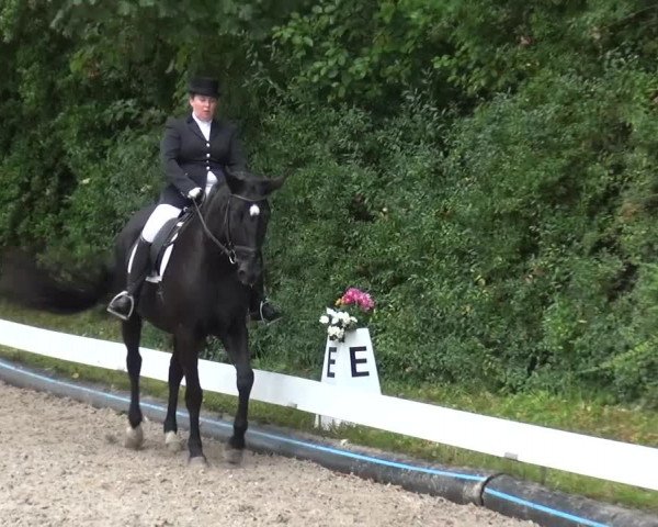 Reitturnier Leverkusen-Teitscheider Hof 2016