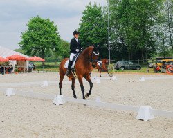 dressage horse Graf de La Fer Ex Galogen (Trakehner, 2003, from Grif)