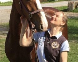 dressage horse Delight 66 (Hanoverian, 2015, from Harmony's Desiderio)