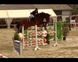 jumper Carrica 12 (Hanoverian, 2013, from Carrico)