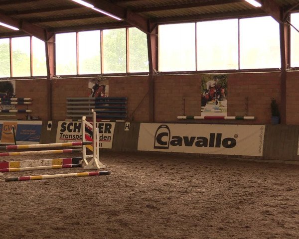 Hallenreitturnier Ovenstädt 2016