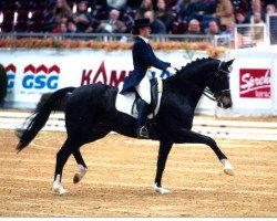 horse Gladiolus (unknown, 1992)