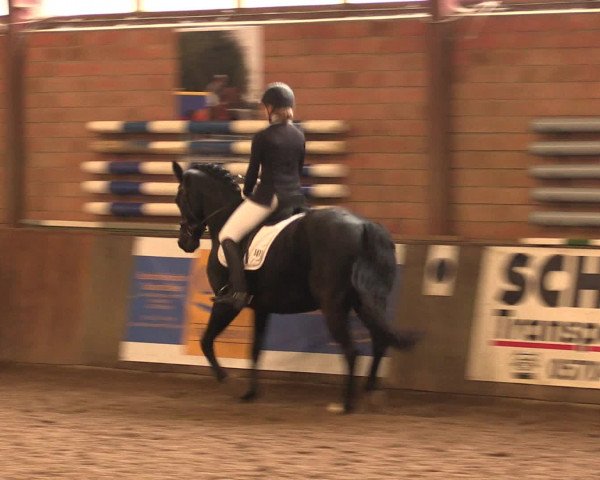 Hallenreitturnier Ovenstädt 2016