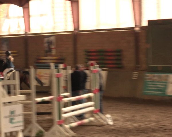 Hallenreitturnier Ovenstädt 2016