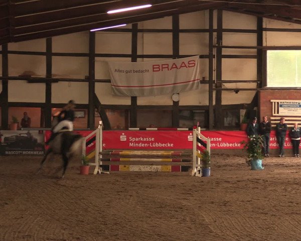 Hallenreitturnier Ovenstädt 2016