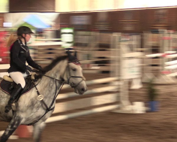 Hallenreitturnier Ovenstädt 2016