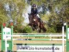 broodmare Chiara 343 (Oldenburg show jumper, 2010, from Cellestino)